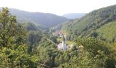 Trail Walking Clervaux - Boucle Les paysages cachés - Tronçon 4 - Clervaux - Kautenbach - Photo 9
