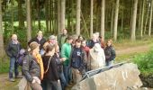 Tour Wandern Wintger - ESCAPARDENNE EISLECK TRAIL - Etape 3 - Asselborn - Houffalize - Photo 13