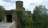 Tour Wandern Kiischpelt - ESCAPARDENNE EISLECK TRAIL Etape 1 - Kautenbach - Clervaux - Photo 3