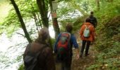 Trail Walking Houffalize - ESCAPARDENNE EISLECK TRAIL Etape 4 - Houffalize - Nadrin - Photo 5