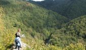 Trail Walking Houffalize - ESCAPARDENNE EISLECK TRAIL Etape 5 - Nadrin - La Roche-en-Ardenne - Photo 13
