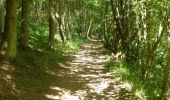 Trail Walking Houffalize - ESCAPARDENNE EISLECK TRAIL Etape 5 - Nadrin - La Roche-en-Ardenne - Photo 10