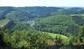 Randonnée Marche Houffalize - ESCAPARDENNE EISLECK TRAIL Etape 5 - Nadrin - La Roche-en-Ardenne - Photo 12