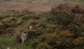 Randonnée V.T.T. Carnac - Carnac forêt et menhirs - Photo 2