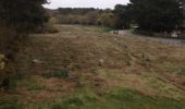 Tour Mountainbike Carnac - Carnac forêt et menhirs - Photo 1