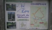 Tocht Stappen Champdeniers - Champeaux - Photo 7
