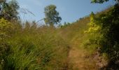 Trail Walking Chaudfontaine - Chaudfontaine, Natura 2000 - Des sites qui valent le détour, Lg7 - Photo 15