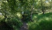 Trail Walking Chaudfontaine - Chaudfontaine, Natura 2000 - Des sites qui valent le détour, Lg7 - Photo 1