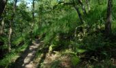 Trail Walking Chaudfontaine - Chaudfontaine, Natura 2000 - Des sites qui valent le détour, Lg7 - Photo 11