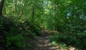 Trail Walking Chaudfontaine - Chaudfontaine, Natura 2000 - Des sites qui valent le détour, Lg7 - Photo 9