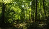 Tocht Stappen Houyet - La Lesse, Natura 2000 - Des sites qui valent le détour, Na07 - Photo 14