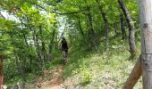 Trail Mountain bike Peyruis - Balade peyruis - Photo 3
