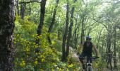 Trail Mountain bike Peyruis - Balade peyruis - Photo 1