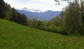 Trail Mountain bike Grenoble - Les 4 seigneurs, herbeys, le murier - Photo 4