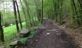 Trail Walking Gedinne - Rienne 26 km  - Photo 2