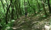 Trail Walking Dinant - Dinant - Photo 3