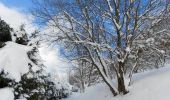 Randonnée Raquettes à neige Bussang - La petite boucle de Sainte Barbe - Bussang - Photo 6