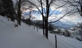 Percorso Racchette da neve Bussang - La petite boucle de Sainte Barbe - Bussang - Photo 5