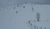 Randonnée Raquettes à neige Bussang - La petite boucle de Sainte Barbe - Bussang - Photo 4