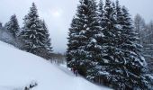 Trail Snowshoes Bussang - La petite boucle de Sainte Barbe - Bussang - Photo 1