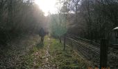 Trail Walking Hanviller - Randonnée de Schwingmuehle à Eberbach par Roppeviller - Photo 1