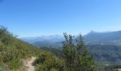 Tocht Paard Chaudon-Norante - La Voie Impériale (Etape 3 : Chaudon-Norante (La Clappe) - Digne-les-Bains) - Photo 3