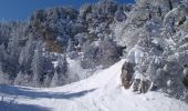 Tour Schneeschuhwandern Saint-Nizier-du-Moucherotte - Vallon des Forges du Moucherotte - Saint Nizier du Moucherotte - Photo 3