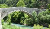 Tour Mountainbike Castellane - Espace VTT - FFC du Verdon et des Vallées de l'Asse - Les Contreforts du teillon n°4 - Castellane - Photo 4