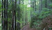 Trail Walking Bois-d'Amont - La Roche du Creux - Bois d'Amont - Photo 1