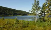 Tocht Stappen Les Rousses - Roche Blanche - Les Rousses  - Photo 2