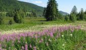 Tocht Stappen Les Rousses - Roche Blanche - Les Rousses  - Photo 3