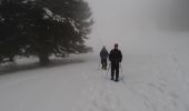 Trail Snowshoes Sondernach - Traversée des Vosges en raquettes - Étape 3 - de Rhotenbrunnen à Soultzeren - Photo 1