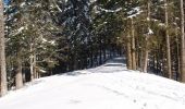 Tour Schneeschuhwandern Schnierlach - Traversée des Vosges en raquettes - Étape 5 - de Lapoutroie à Plainfaing - Photo 2