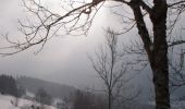 Randonnée Raquettes à neige Plainfaing - Traversée des Vosges en raquettes - Étape 6 - de Plainfaing à Québrux - Photo 1