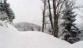 Tour Schneeschuhwandern Ban-de-Laveline - Traversée des Vosges en raquettes - Étape 7 - de Québrux à Sainte Marie aux Mines - Photo 1