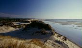 Tocht Mountainbike Wimereux - Le littoral de Wimereux à Etaples - Photo 1