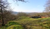 Tocht Stappen Vireux-Molhain - Le Camp Romain du Mont Vireux - Photo 2