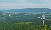 Tour Wandern PREMANON - Le Mont Fier -  Prémanon - Photo 5