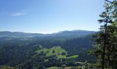 Tour Wandern PREMANON - Le Mont Fier -  Prémanon - Photo 4