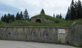 Excursión Senderismo Les Rousses - Le Fort des Rousses - Les Rousses - Photo 3