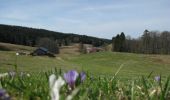 Trail Walking Lamoura - Les Points de vue du lac - Lamoura  - Photo 3