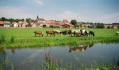 Tocht Fiets Ernolsheim-Bruche - Circuit cyclo des villages de plaine - Ernolsheim-Bruche - Photo 4