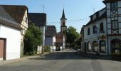 Tocht Fiets Ernolsheim-Bruche - Circuit cyclo des villages de plaine - Ernolsheim-Bruche - Photo 1