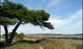 Tocht Mountainbike Narbonne - Le Golfe Antique - Narbonne - Photo 2