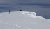 Tour Schneeschuhwandern Garin - Sommet  de l'Aigle par le Col de Peyresourde - Photo 1