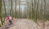 Trail Walking Revin - De Révin à Anchamps via Laifour et les Dames de Meuse  - Photo 6