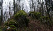 Tour Wandern Revin - De Révin à Anchamps via Laifour et les Dames de Meuse  - Photo 2