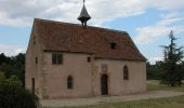 Tour Wandern Mutzig - Les chapelles de Mutzig - Photo 5