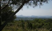 Excursión Bici de montaña Calvisson - Espace VTT-FFC Pays de Sommières n°1 - Le Bois de Calvisson - Photo 2