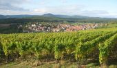 Tour Wandern Dorlisheim - Escapade dans le vignoble de Dorlisheim - Photo 1